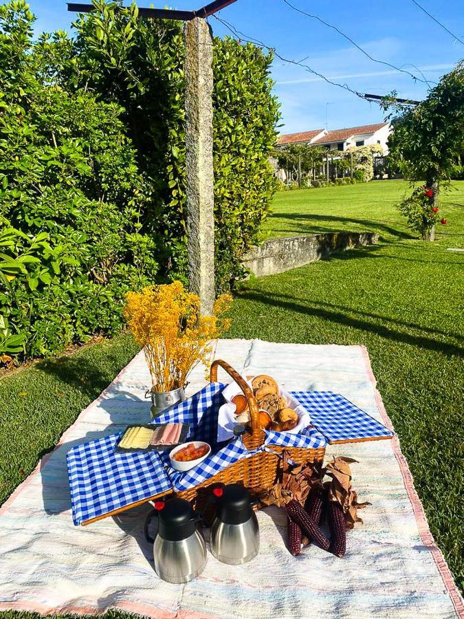 Quinta Dom Sapo - Agroturismo 维亚纳堡 外观 照片
