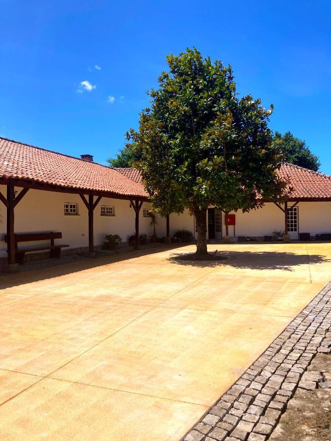 Quinta Dom Sapo - Agroturismo 维亚纳堡 外观 照片