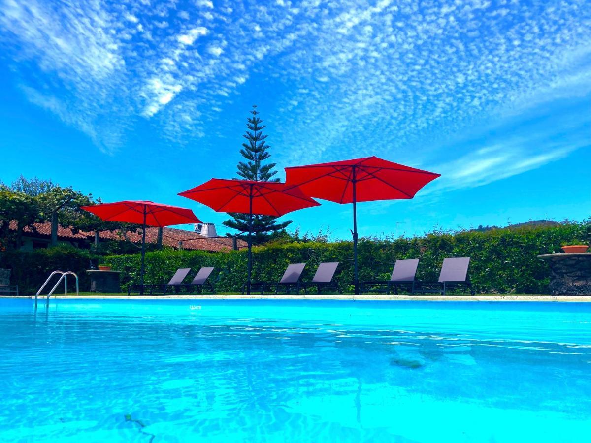 Quinta Dom Sapo - Agroturismo 维亚纳堡 外观 照片